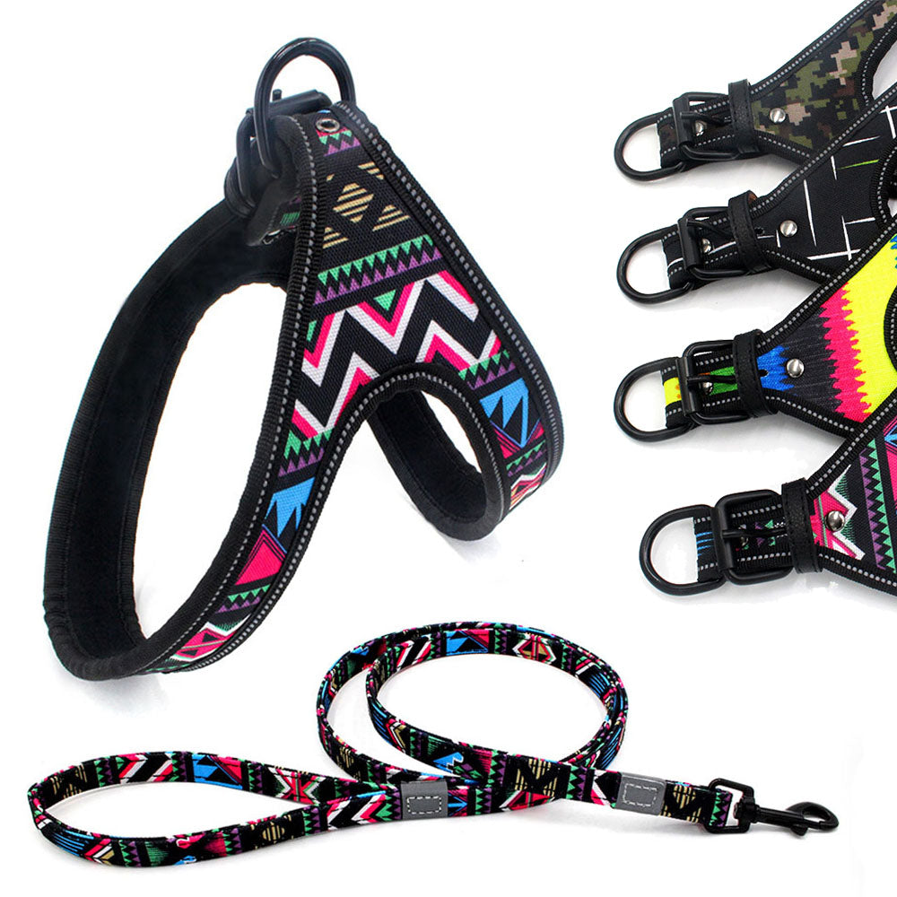 Dog Leash | Super Pet Hub