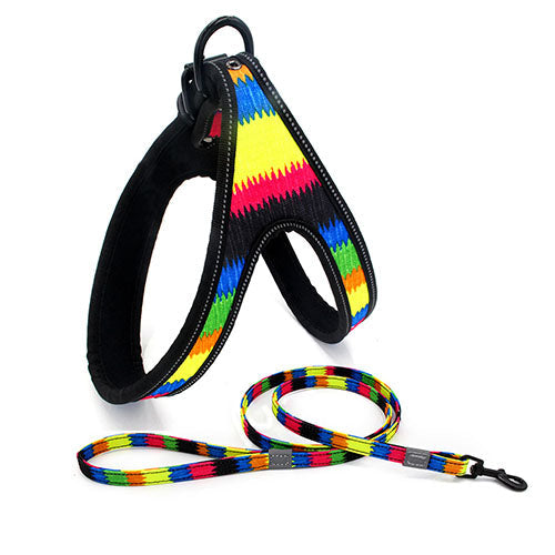 Dog Leash | Super Pet Hub