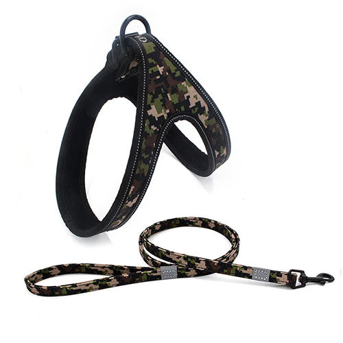 Dog Leash | Super Pet Hub