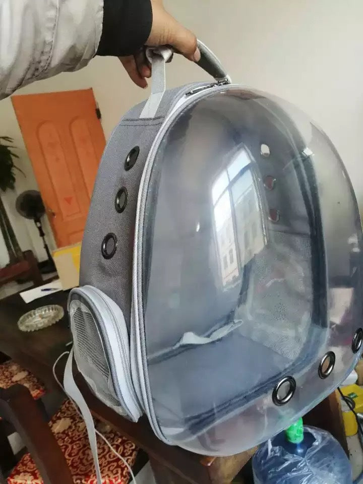 Shoulders Pet Backpack | Order Today