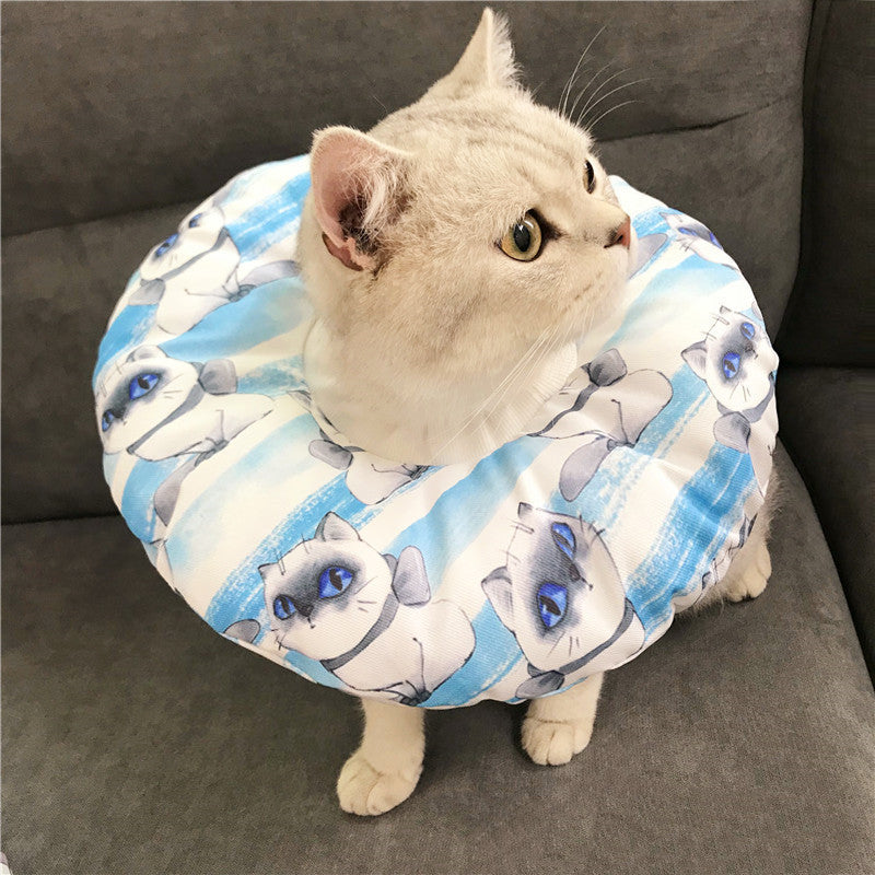 Anti-scratch Headgear | Superpethub