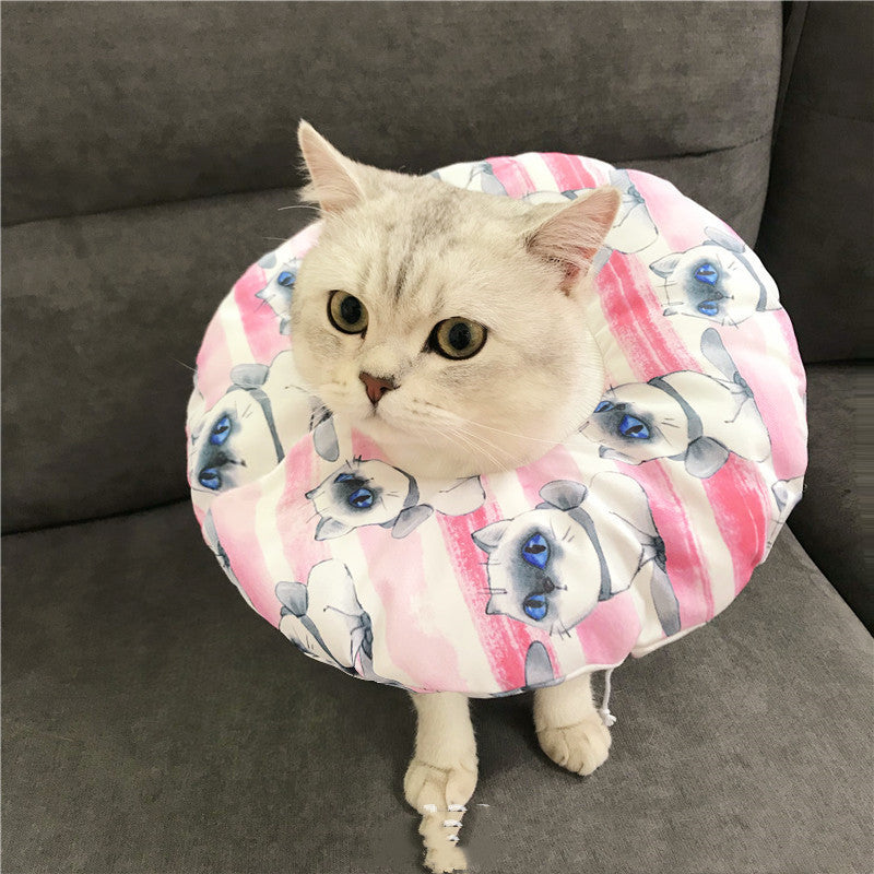 Anti-scratch Headgear | Superpethub