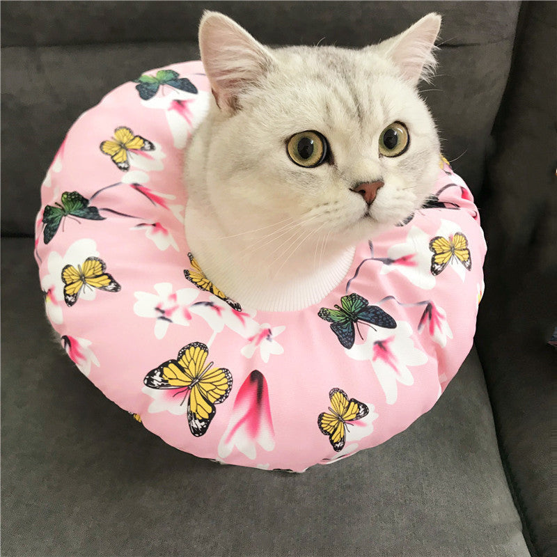 Anti-scratch Headgear | Superpethub