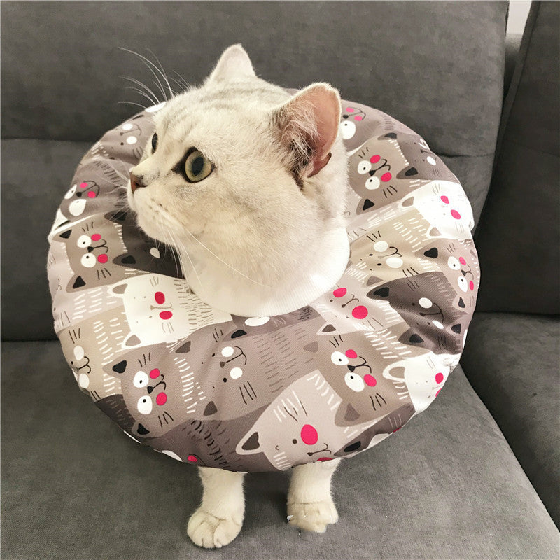 Anti-scratch Headgear | Superpethub