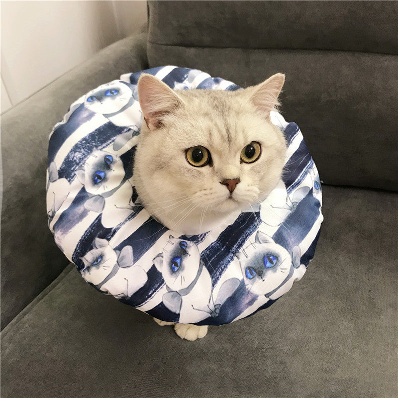 Anti-scratch Headgear | Superpethub