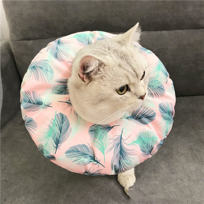 Anti-scratch Headgear | Superpethub