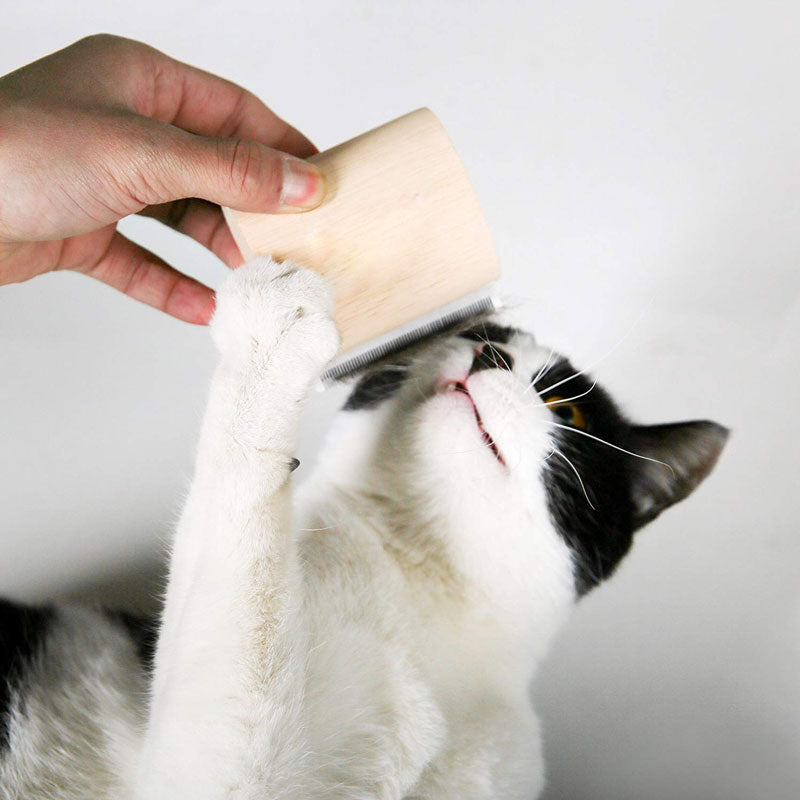 Pet Hair Removal Wood Comb | Order Now