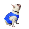 Dog cooling vest | Safe From Hit