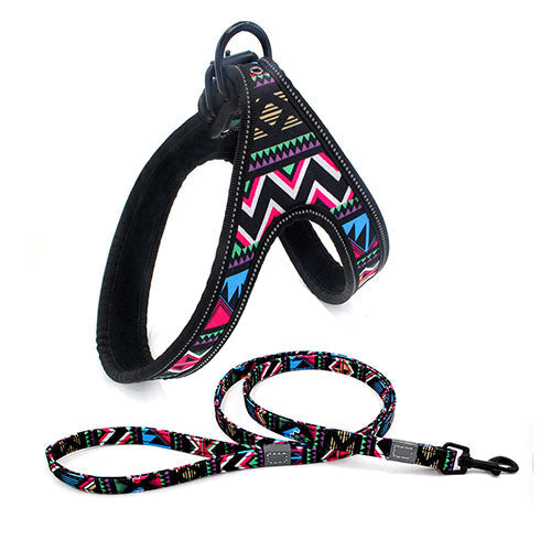 Dog Leash | Super Pet Hub