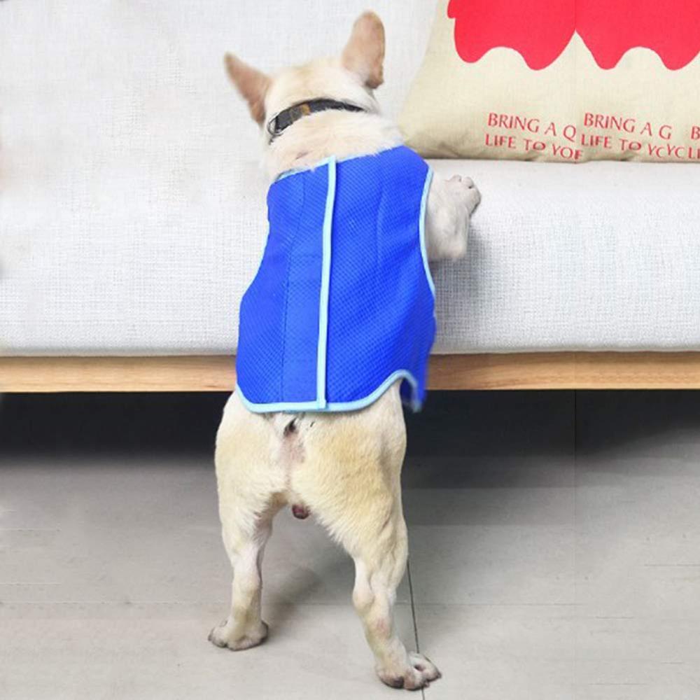 Dog cooling vest | Safe From Hit
