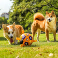 Interactive Dog Toy Football |Long Lasting