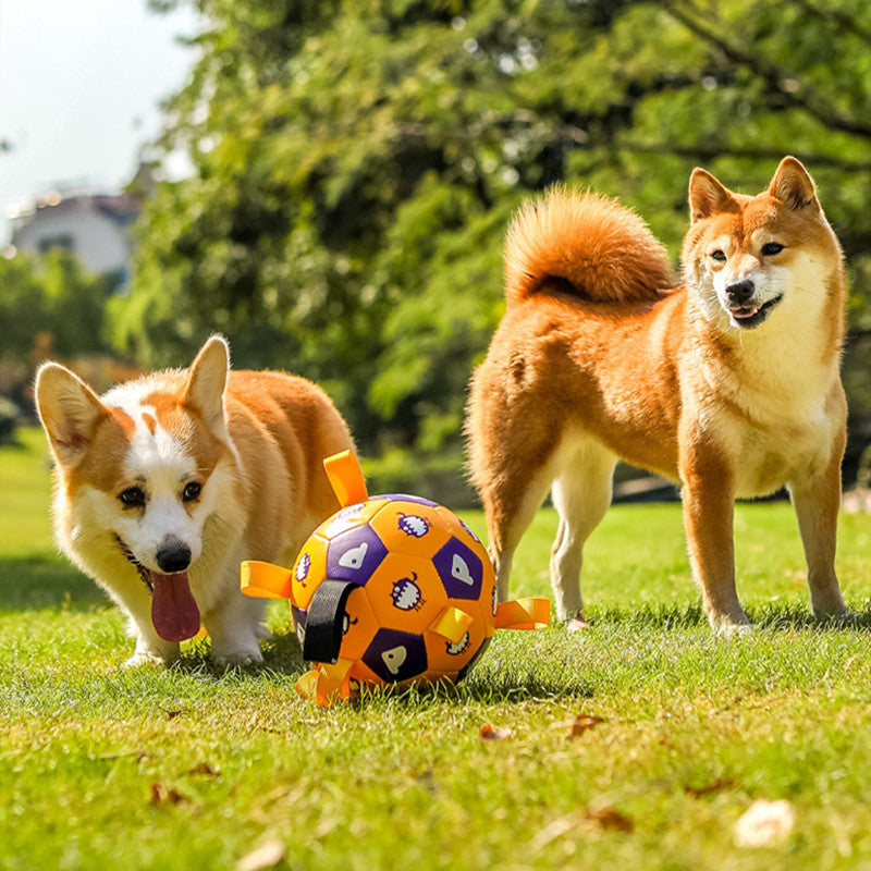 Interactive Dog Toy Football |Long Lasting