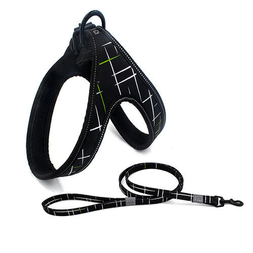 Dog Leash | Super Pet Hub