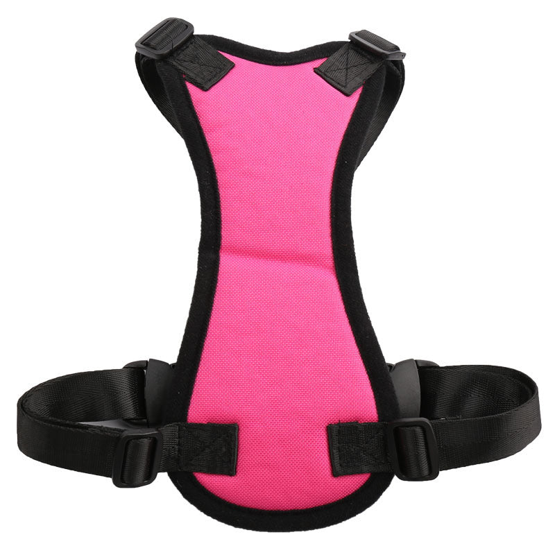 Car seat belts for pets | Order Now