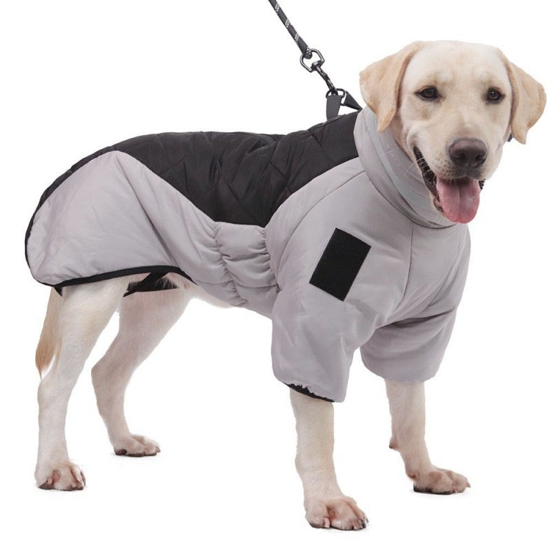 Dog Jacket For Winter | Order Now