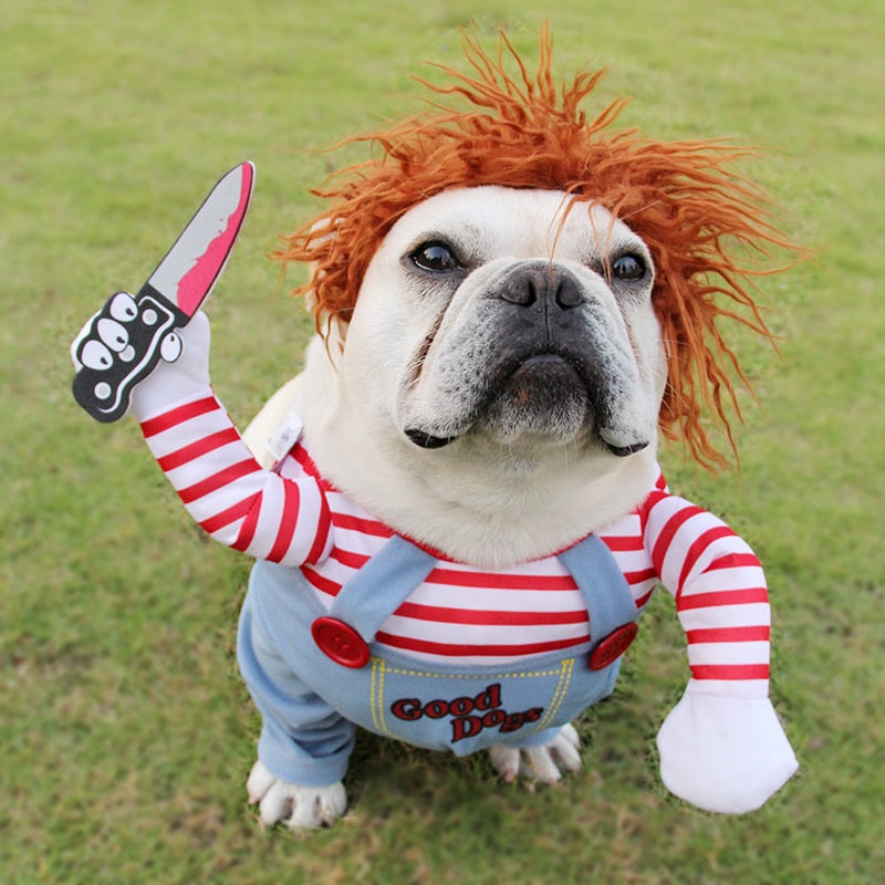 Pet Dog Costumes | Special custumes for Halloween