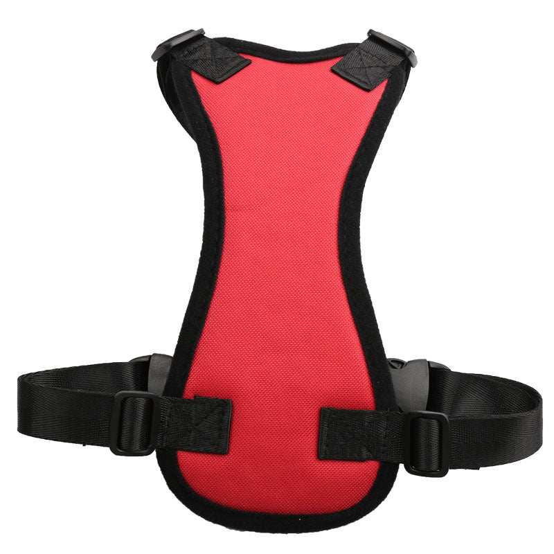 Car seat belts for pets | Order Now