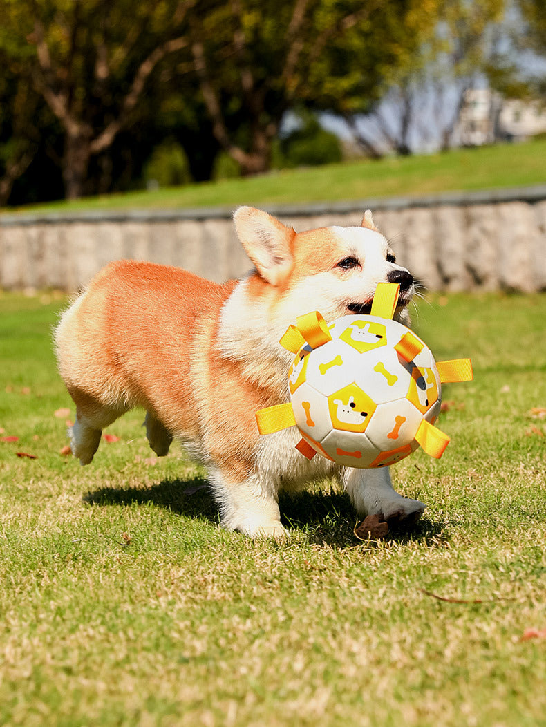 Interactive Dog Toy Football |Long Lasting