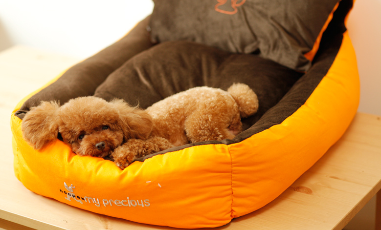 Three-piece Pets Bed | Order Now