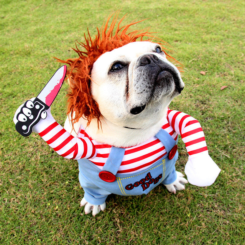 Pet Dog Costumes | Special custumes for Halloween