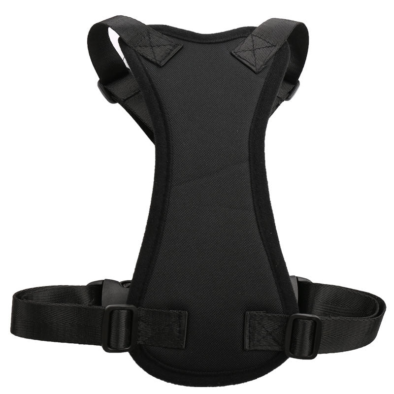 Car seat belts for pets | Order Now