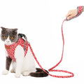 Cat vest harness traction rope | Super pet hub