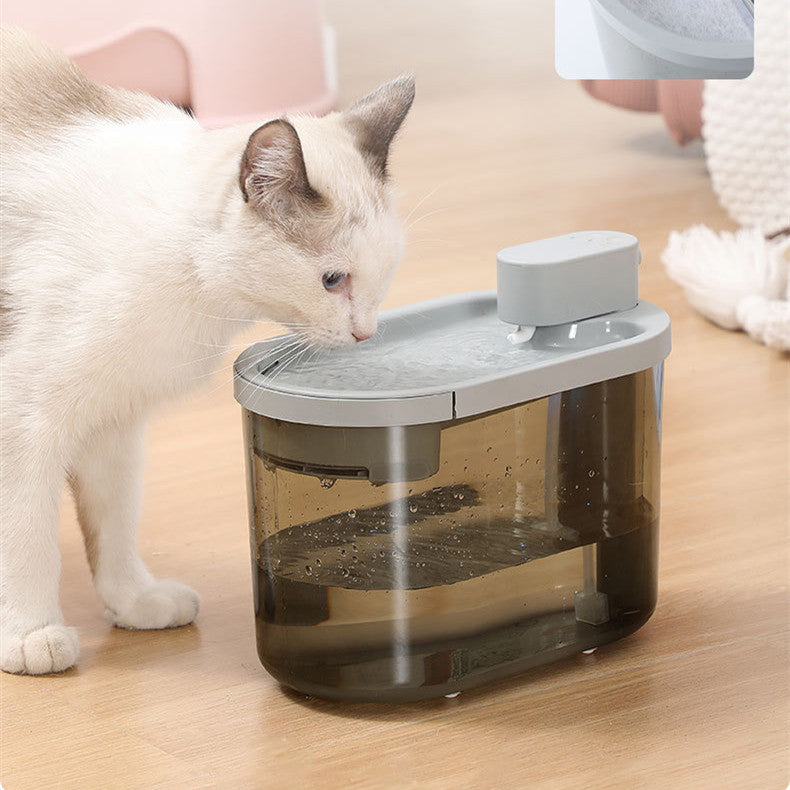 Automatic Drinking Bowl | Order Now