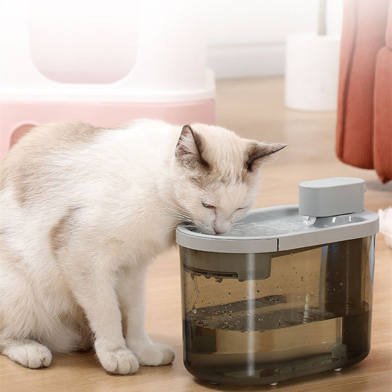 Automatic Drinking Bowl | Order Now