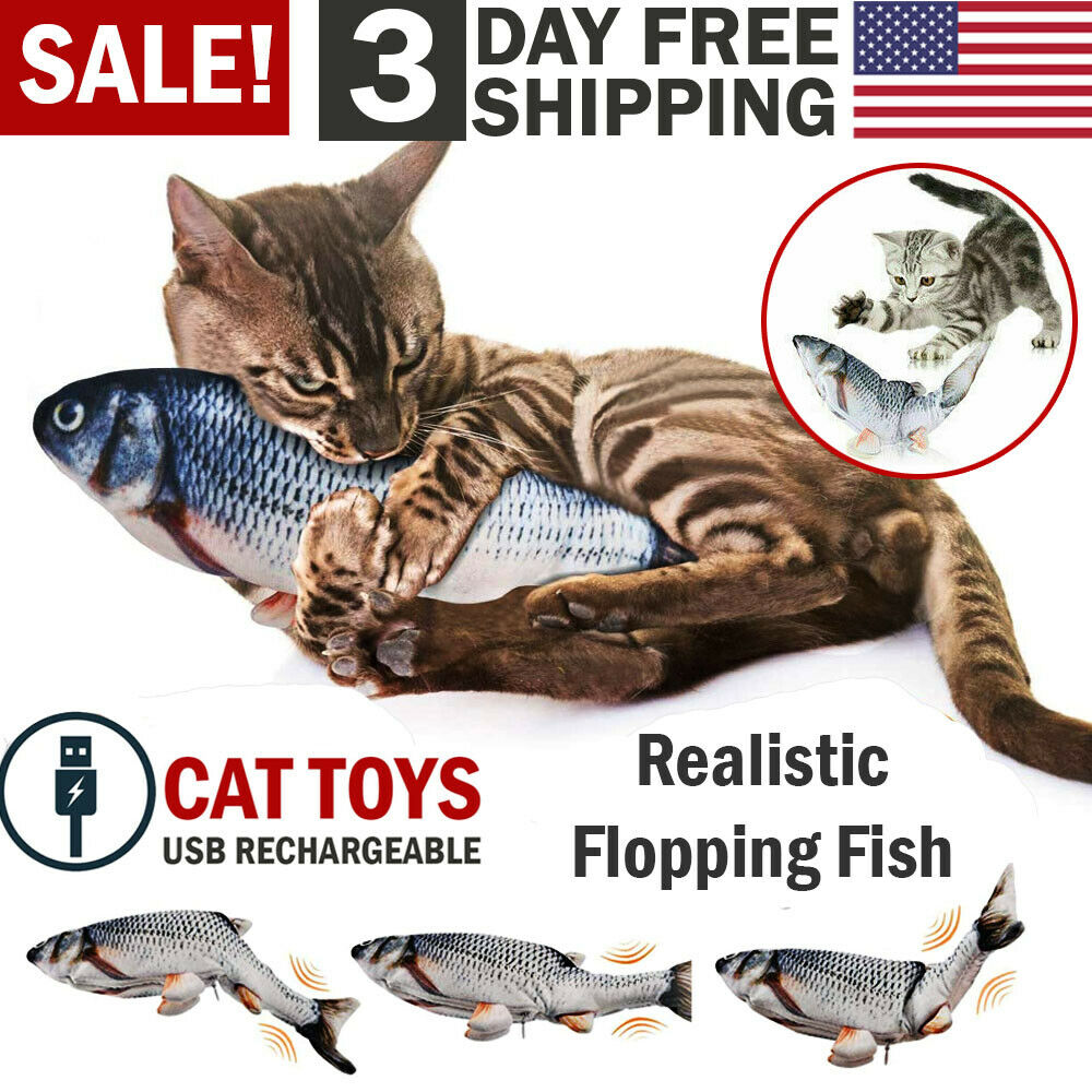 Electric Fish Cat Toy | Realistic Kitten Fish  Toys