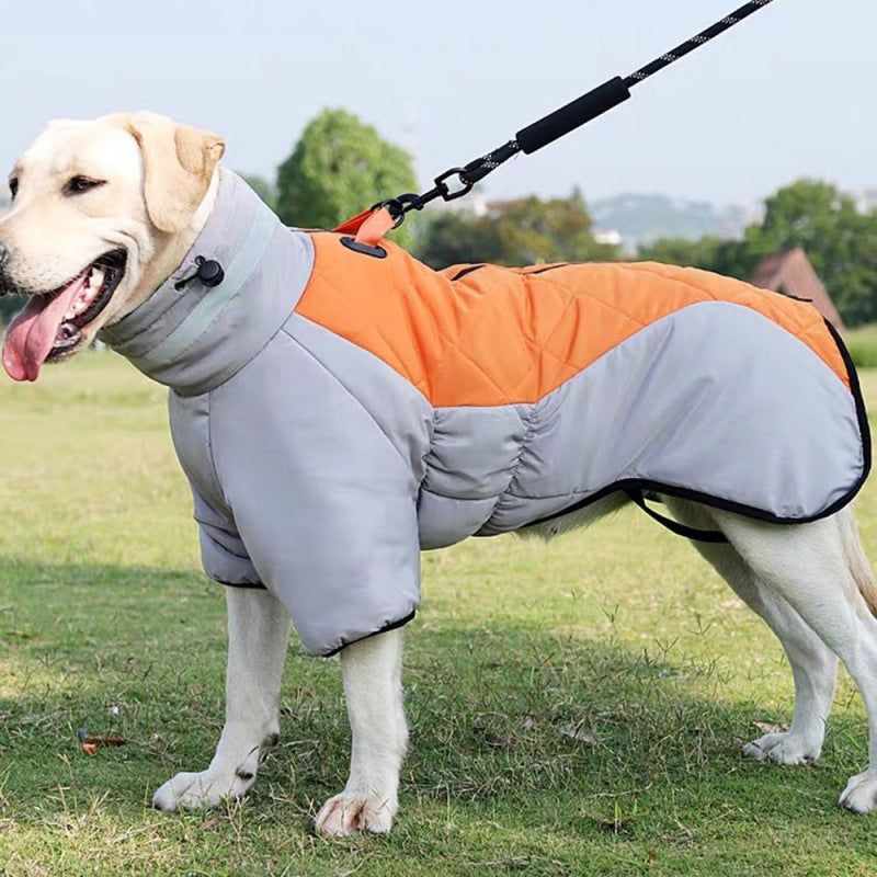 Dog Jacket For Winter | Order Now