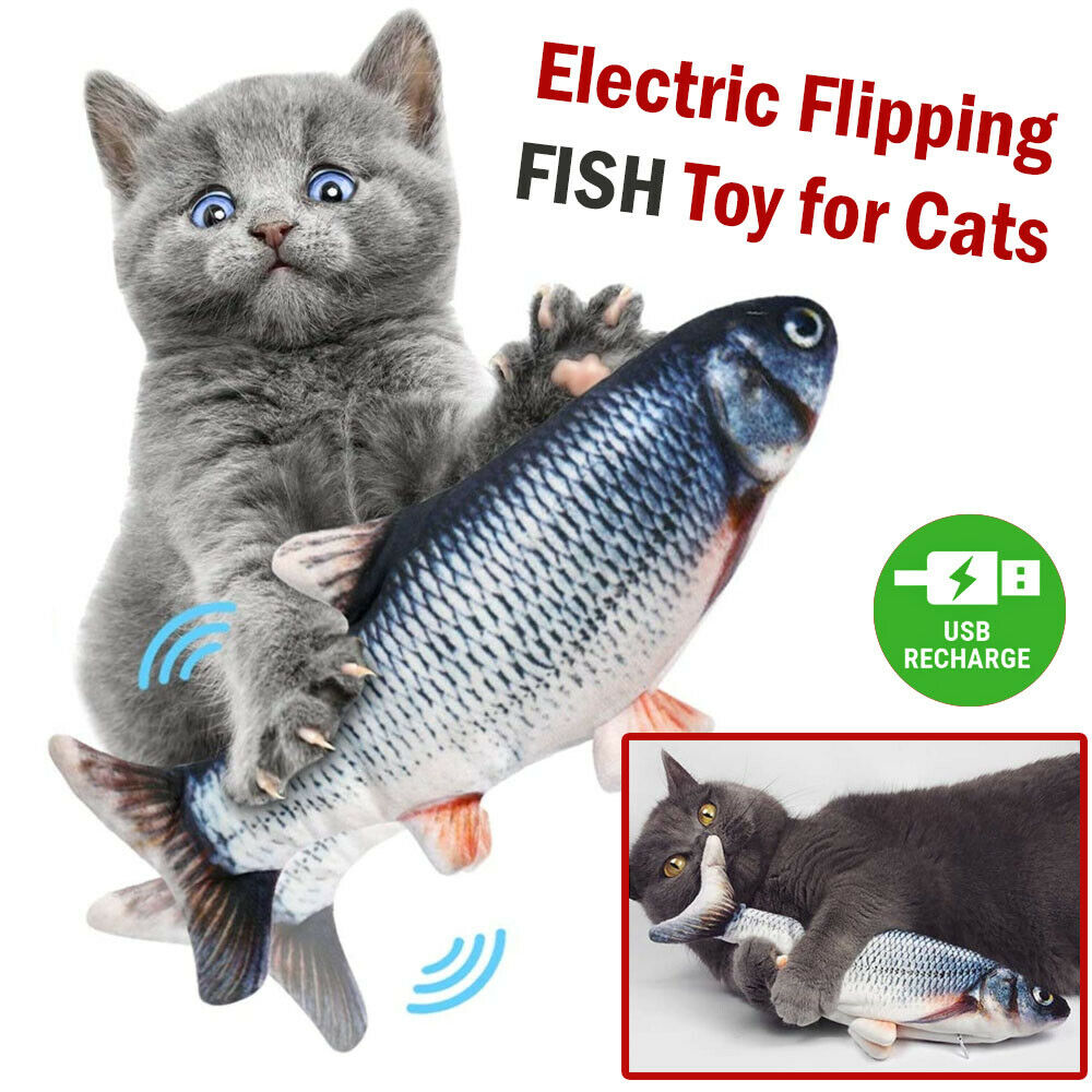 Electric Fish Cat Toy | Realistic Kitten Fish  Toys