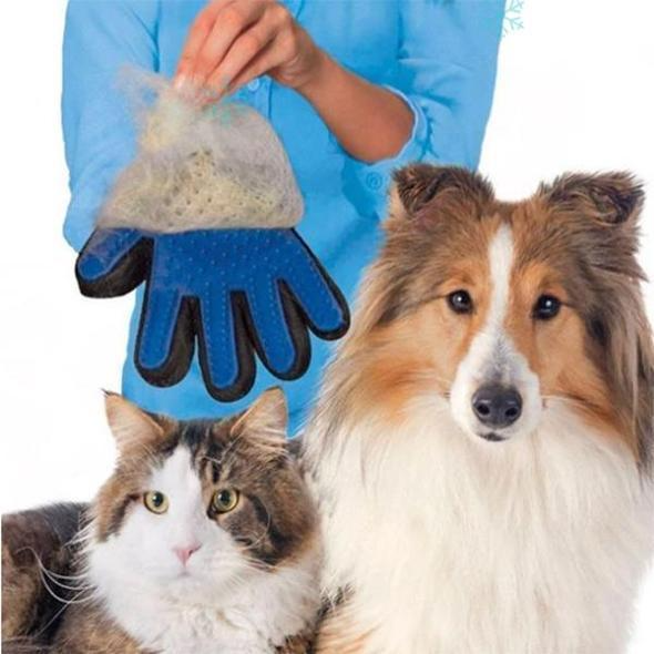 Pet Hair Removal Gloves | Get Now