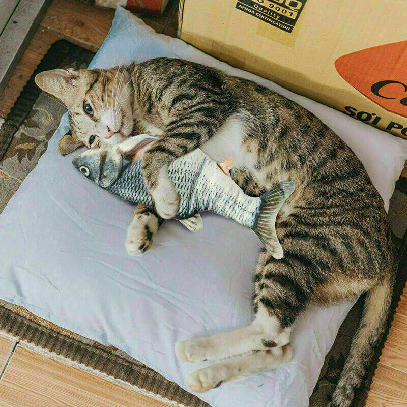 Electric Fish Cat Toy | Realistic Kitten Fish  Toys